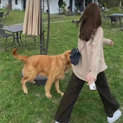 冬之光
